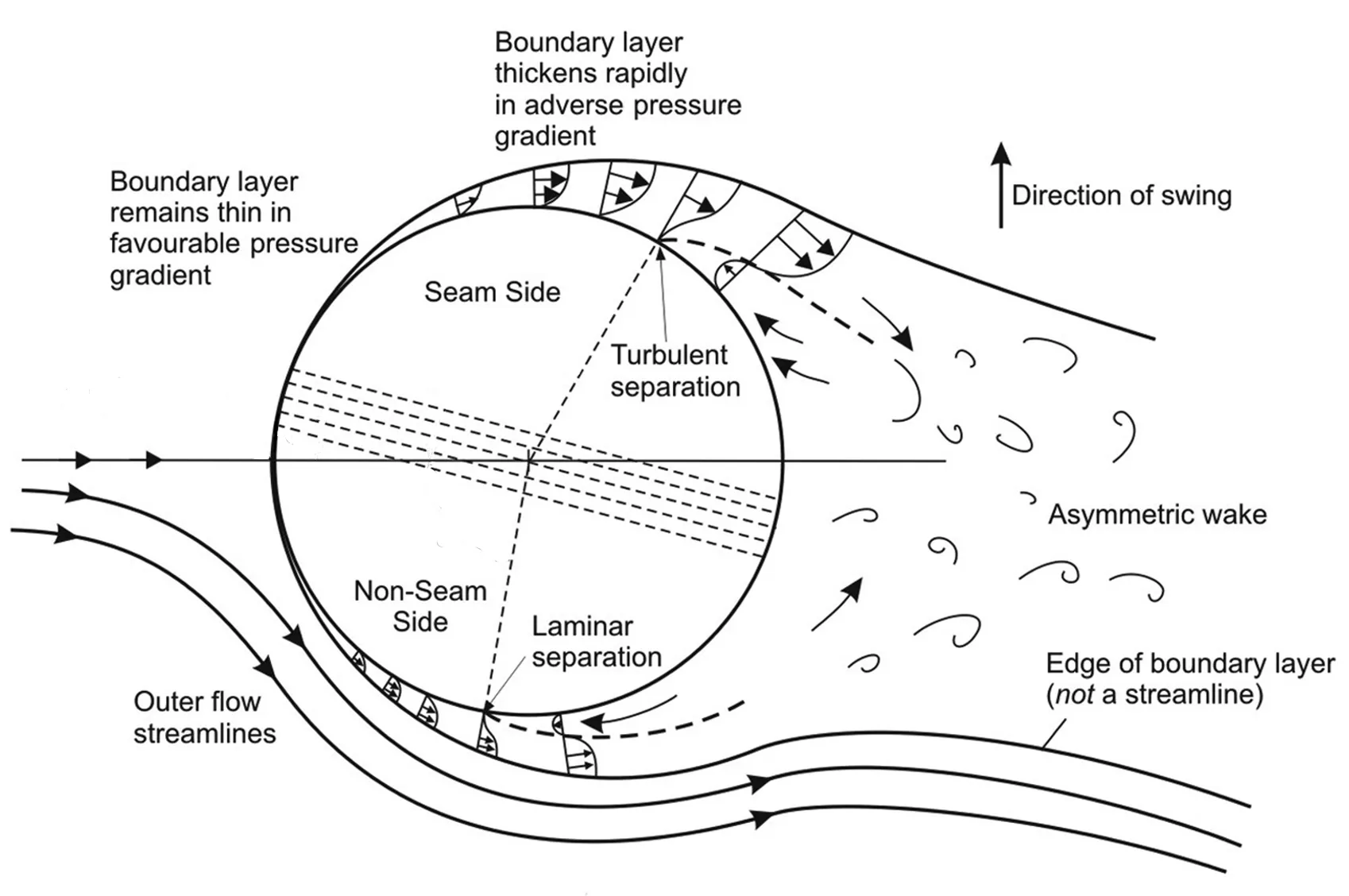 Figure 2: Schematic diagram of the air flow around a cricket ball undergoing conventional swing. Adapted from Scobie, 2012. The thickness of the boundary layer is greatly exaggerated for visibility. In reality it is about 1mm thick. (View from above with the ball travelling right to left)