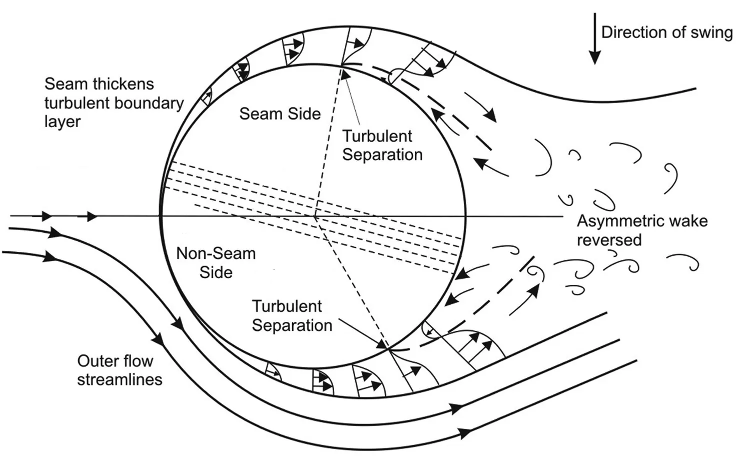 Figure 3: Schematic diagram of the air flow around a cricket ball undergoing reverse swing. Adapted from Scobie, 2012.
